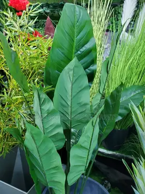 Artificial Plants and Flowers