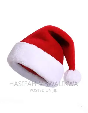 Christmas Santa Hat- Washable