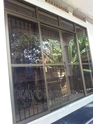 Steal Double Sliding Doors