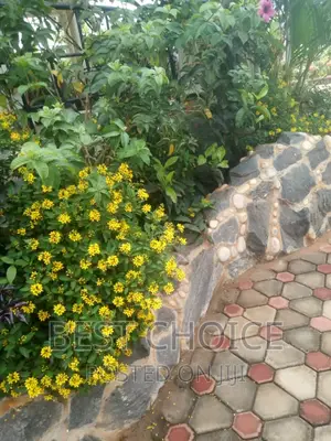 Compound Designing and Flower Planting Service