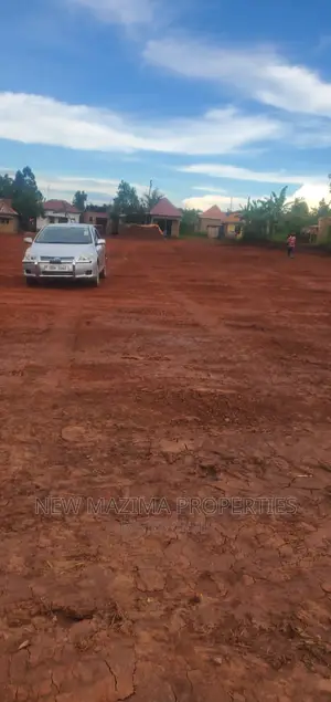 Nsangi Maya