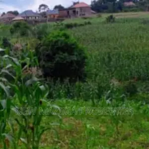 17 Decimals Quicksale in Heart of Rubaga Division Bunamwaya