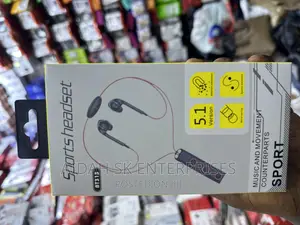 BT313 Sports Headset