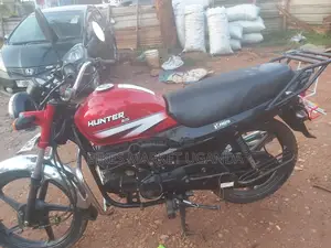 Hero Hunter 125 2020 Red