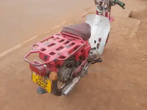 Honda CBR 2006 Red