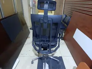 Orthopedic Used Office Chair