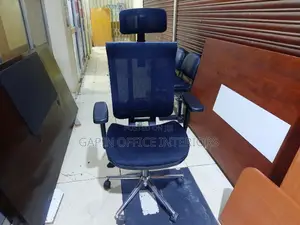 Orthopedic Used Office Chair