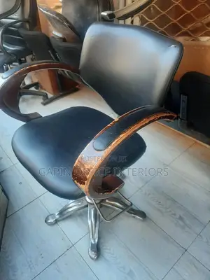 Second Hand Salon Chair