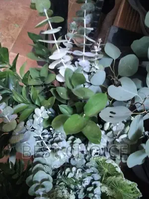 Blooming Beauty With an Experienced Florist