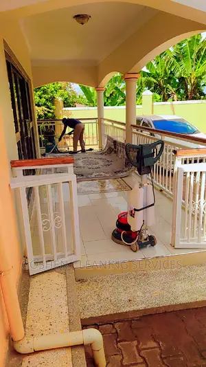 Home and Office Carpet Cleaners
