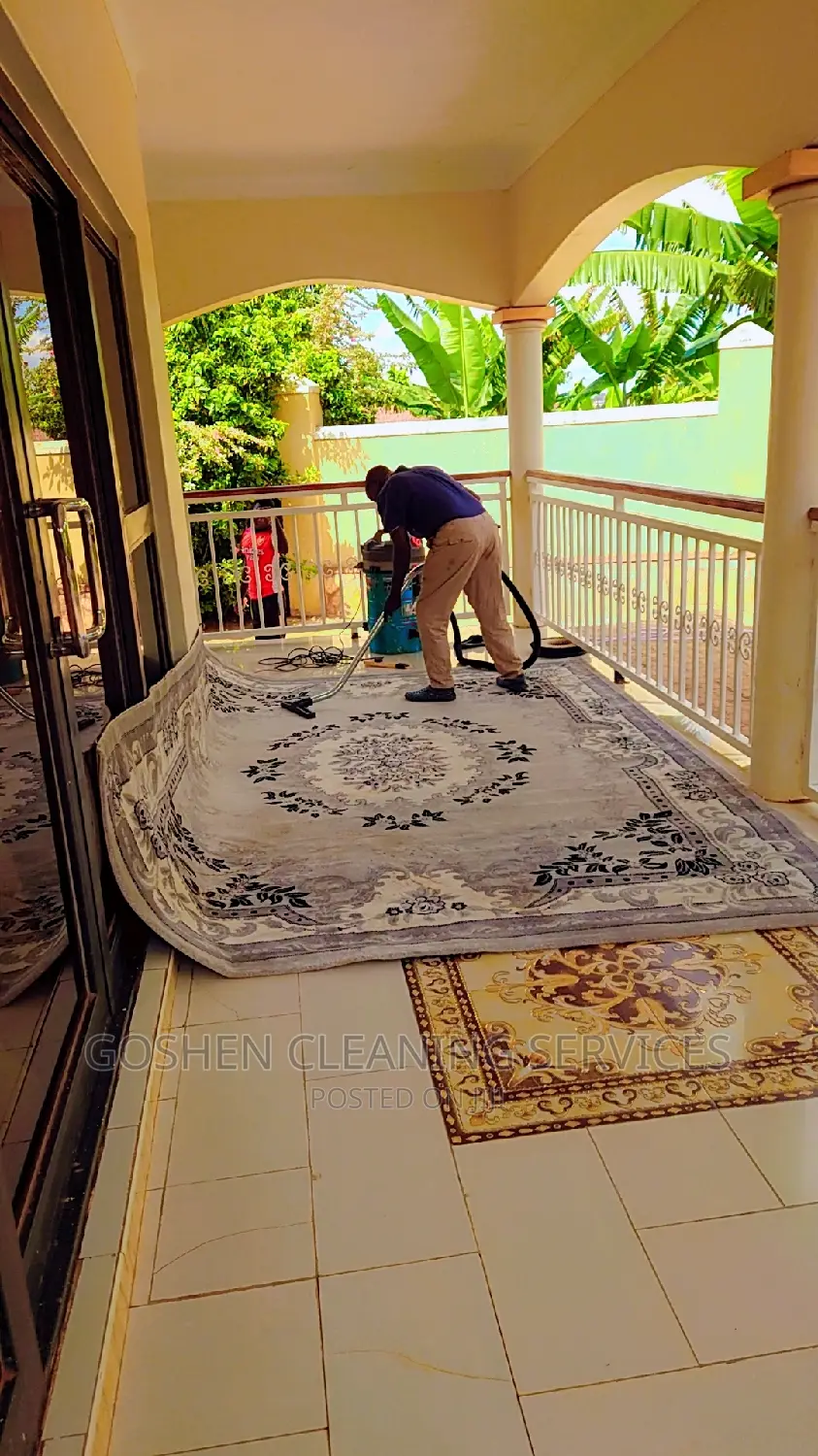 Home and Office Carpet Cleaners