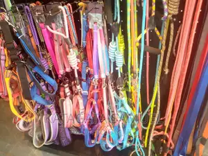 Dog Harness and Leash