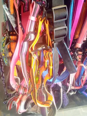 Dog Harness and Leash