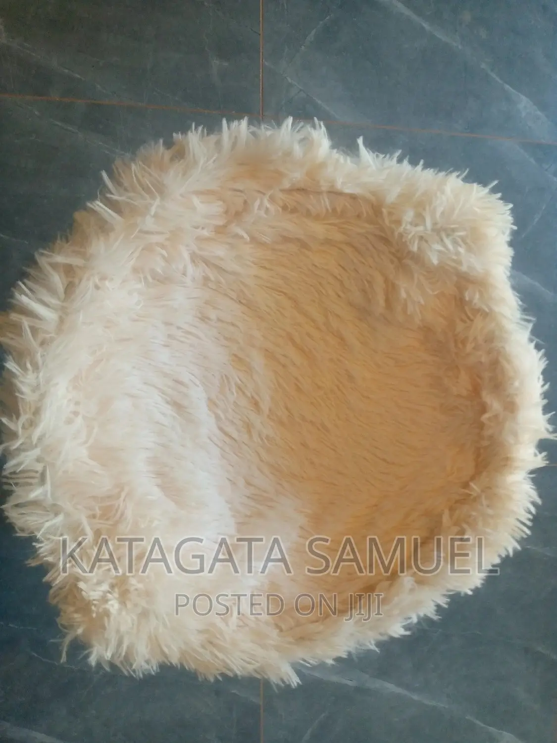 Cat Bed Improved