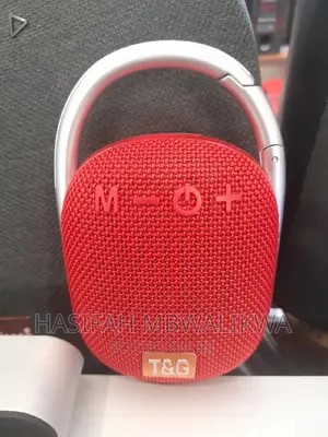 T G Portable Wireless Speaker