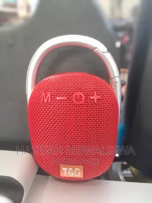 T G Portable Wireless Speaker