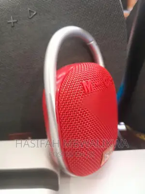 T G Portable Wireless Speaker