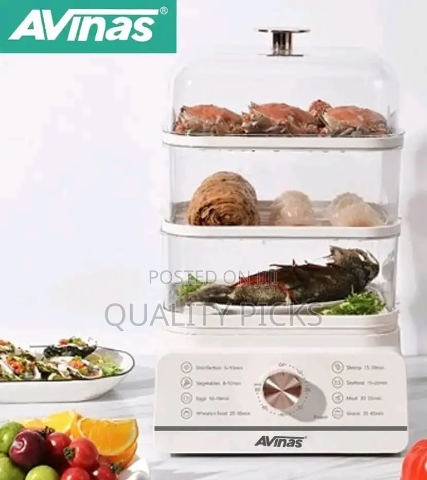 Electric Food Steamer