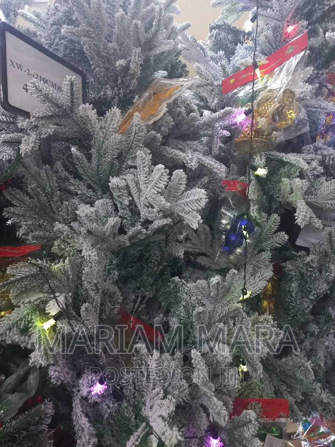 Snow Christmas Plus FREE Decoration