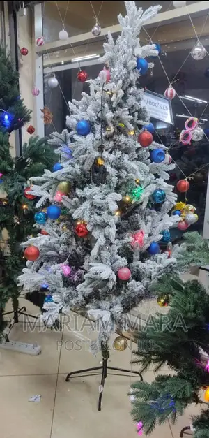 Snow Christmas Plus FREE Decoration