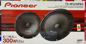 Pioneer Ts-M1610pro Car Door Speakers