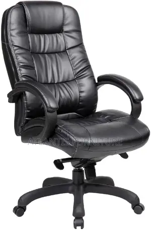 An Executive Office Chair