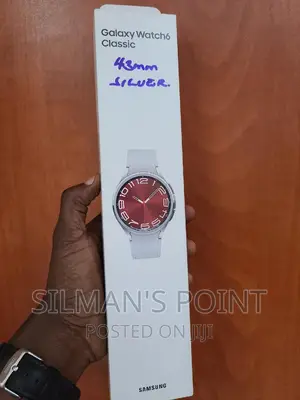 Samsung Galaxy Watch 6 Classic 43mm Silver