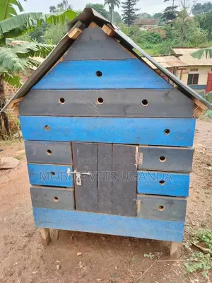 Pet House and Dogs