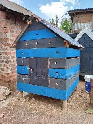 Pet House and Dogs