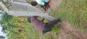Fencing Land