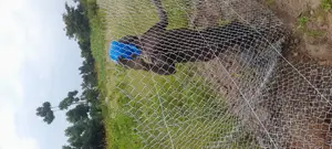 Fencing Good Work