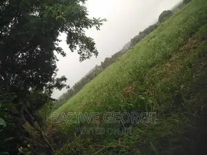 300 Acreas Near Airport Hoima in Nyamasoga