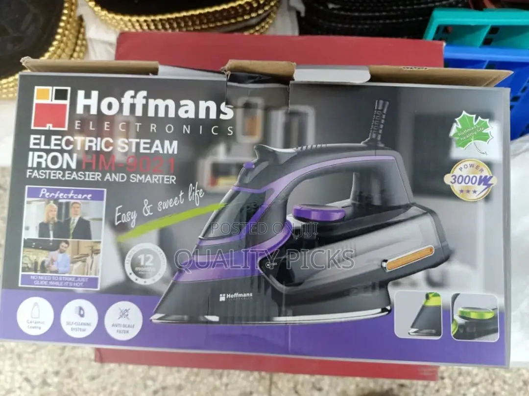 Electric Hoffman's Steam Iron