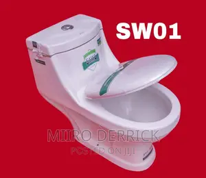Sawa Toilets at Awholesale Price Complete