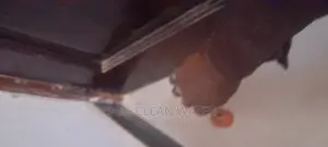 Door Stopers