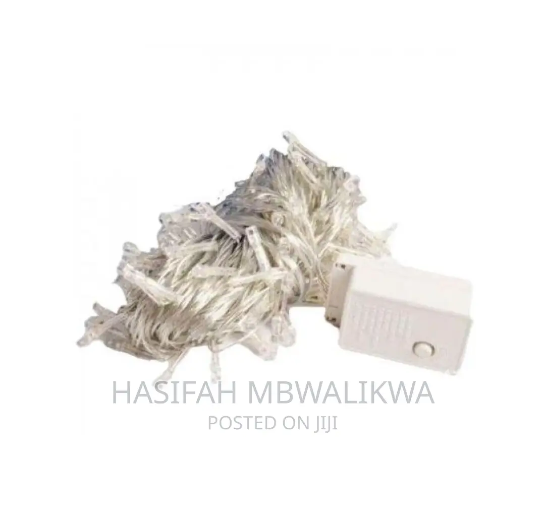 Decorative LED Lights- Outdoor/ Indoor
