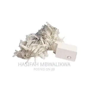Decorative LED Lights- Outdoor/ Indoor