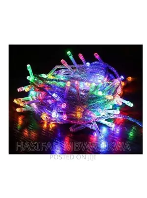 Decorative LED Lights- Outdoor/ Indoor