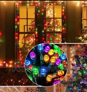 Decorative LED Lights- Outdoor/ Indoor