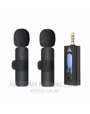 Dual Lapel Microphone