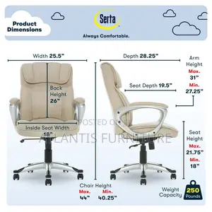 An Extraordinary Office Chair