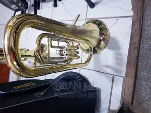 Britons Horn Used