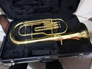 Britons Horn Used