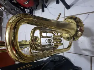 Britons Horn Used