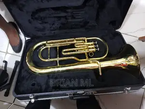 Britons Horn Used