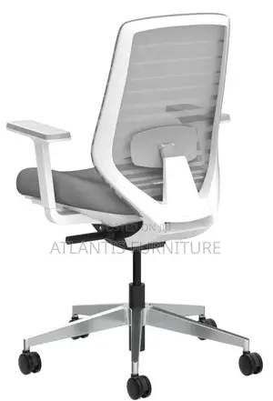 An Extraordinary Office Chair