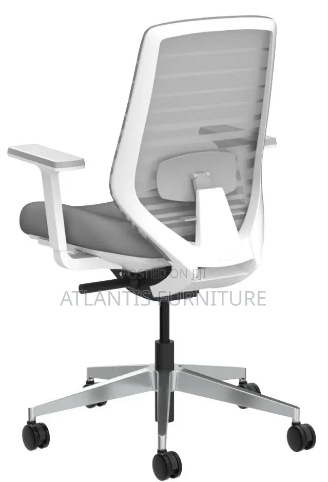An Extraordinary Office Chair