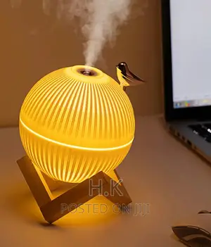 Night Lights Portable Air Freshener Lamp (Humidifier)
