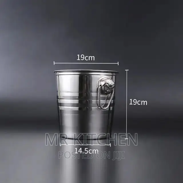 Metallic Ice Buckets