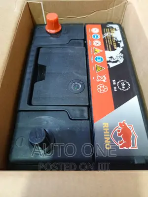 N55 Rhino Batteries